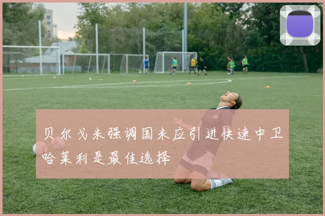 贝尔戈米强调国米应引进快速中卫哈莱利是最佳选择
